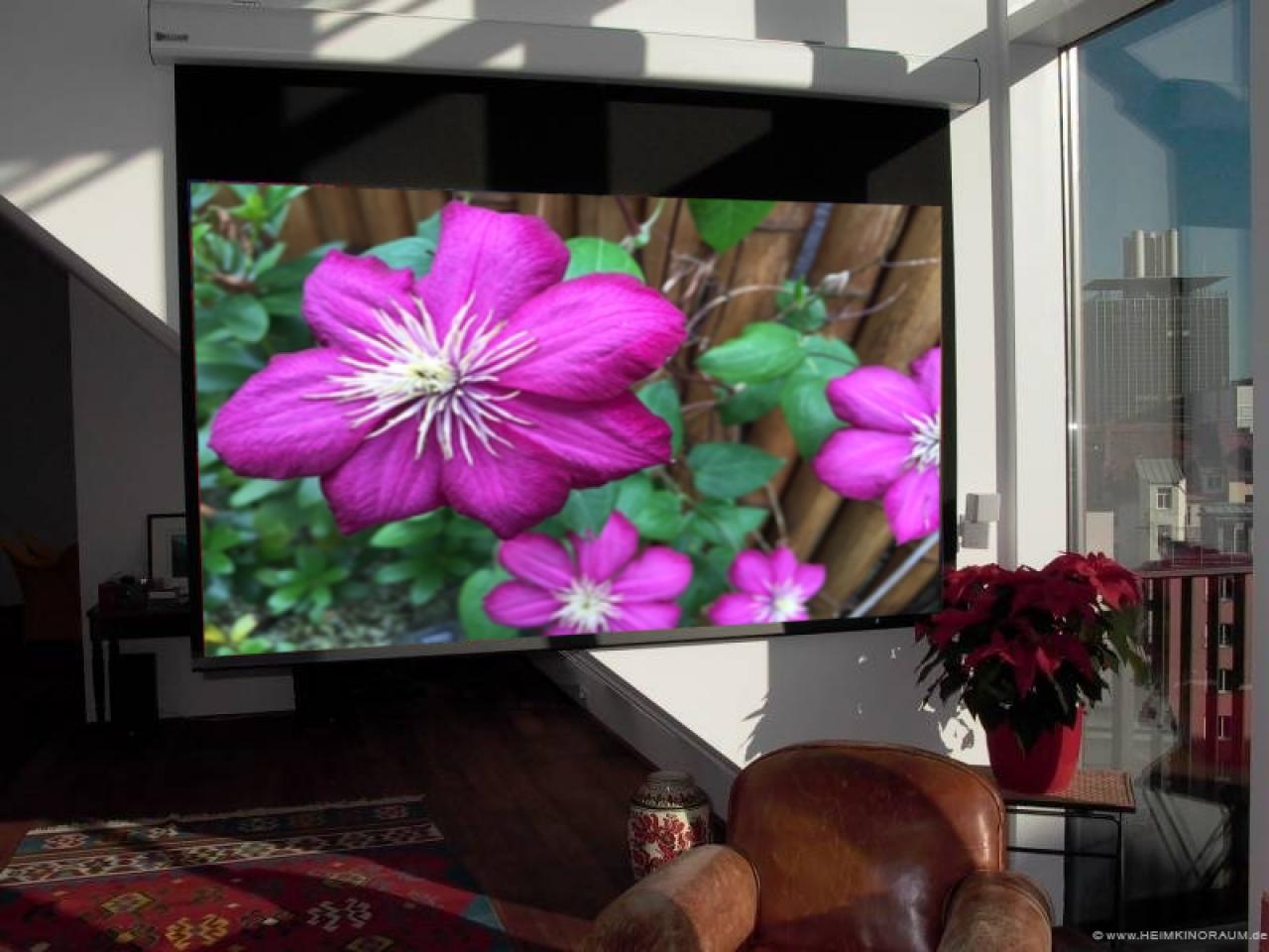 Beamer oder fernseher ... oder beides?