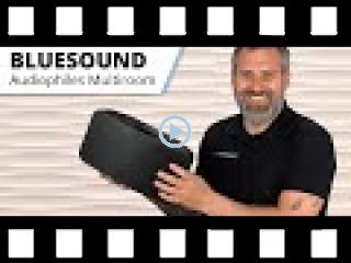 BLUESOUND - Multiroom Lautsprecher und Soundbar ähnlich wie Sonos, aber klingt viel besser...