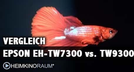 EPSON EH TW9300 vs EPSON EH TW7300 im Beamer-Test-Vergleich
