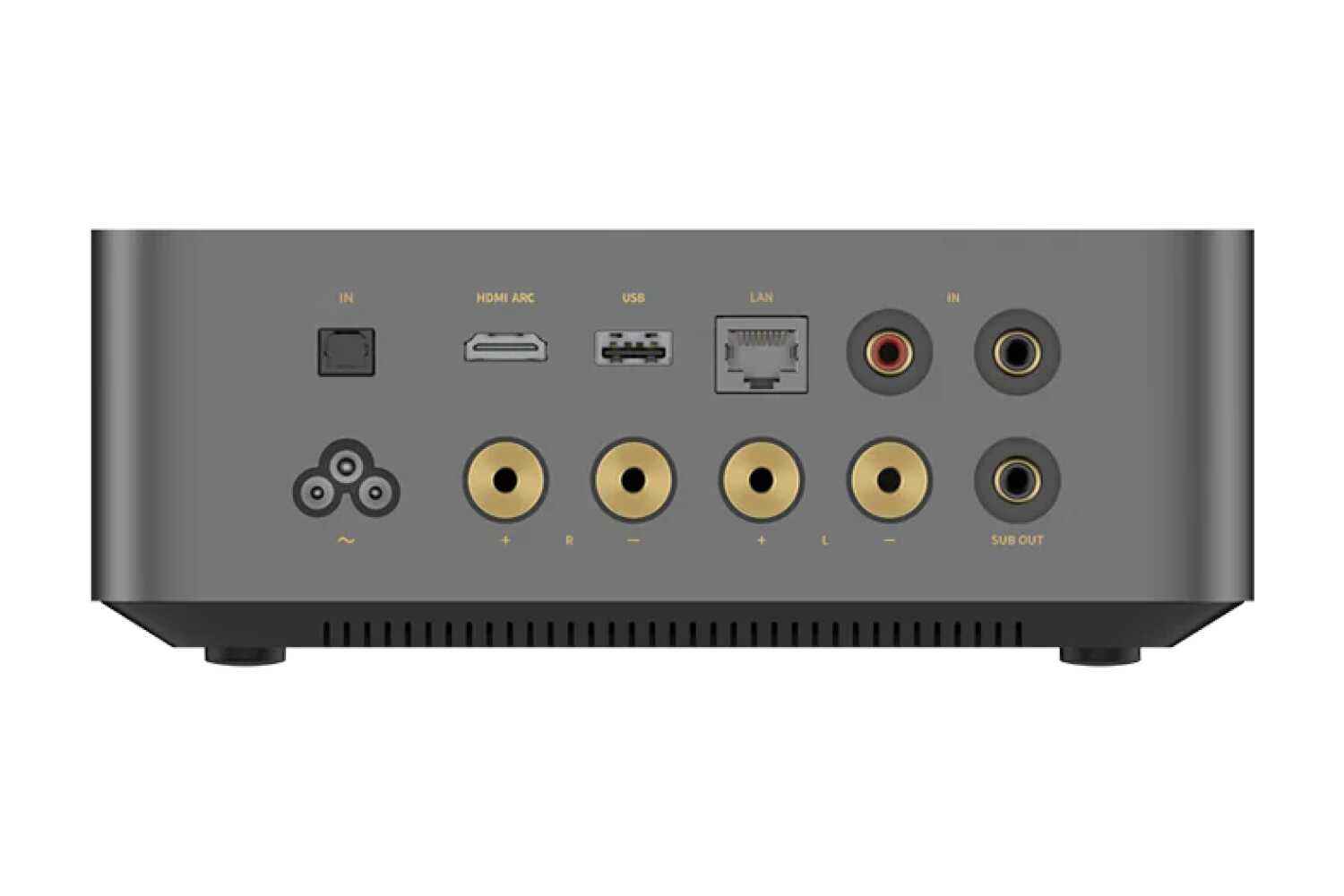 Wiim AMP Ultra Streaming Verstärker