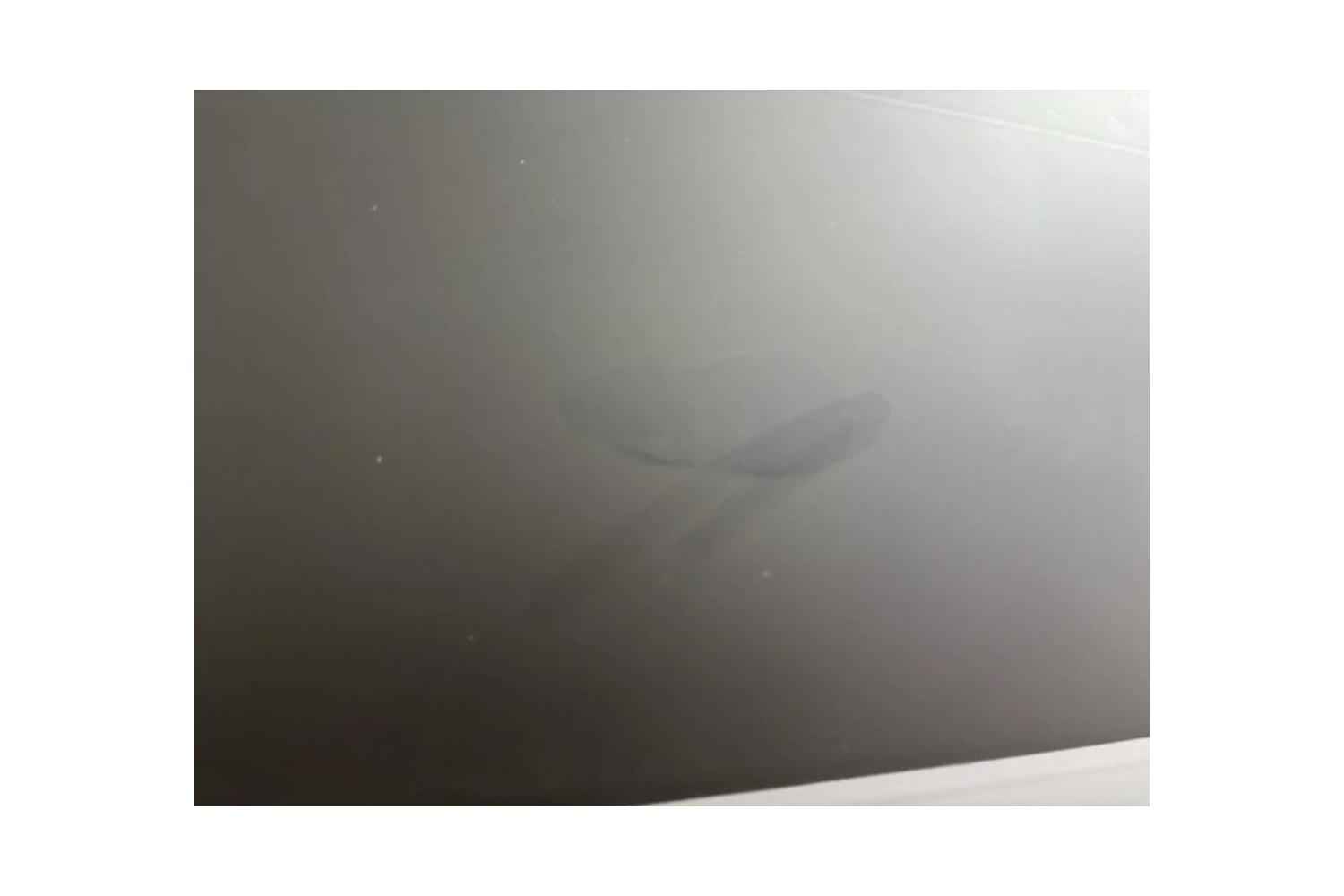 B-Ware DELUXX Cinema Electric Tension Screen Darkvision: Deutlicher Fleck im oberen Bereich des Tuchs
