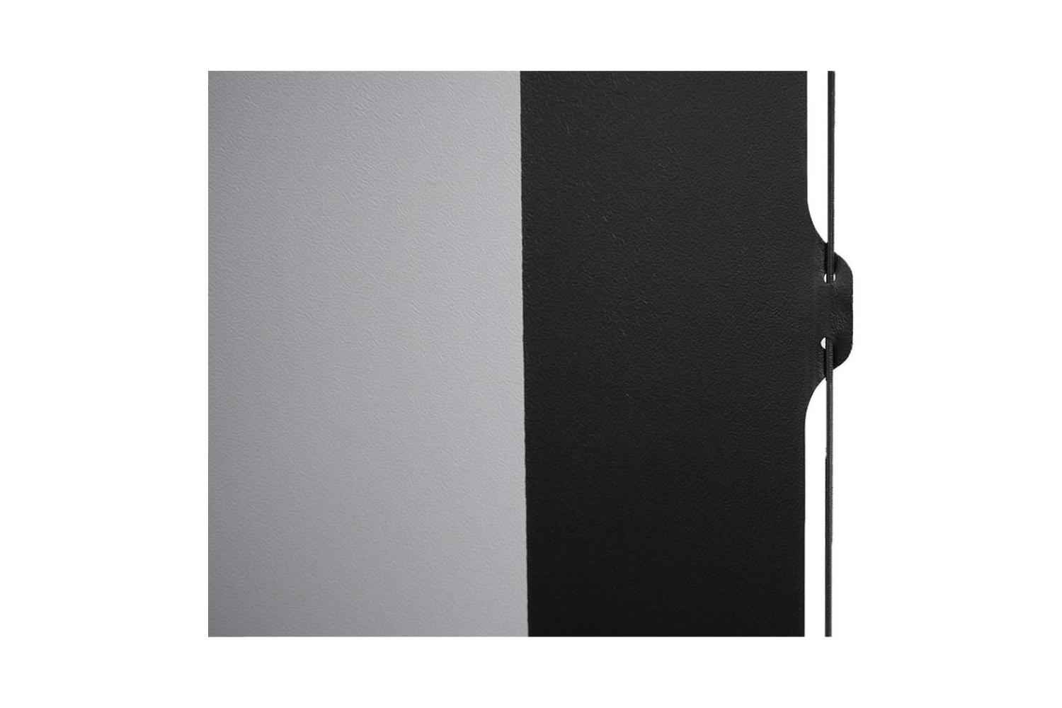 celexon Pearlstone Batterie Professional Plus Tension Motorleinwand
