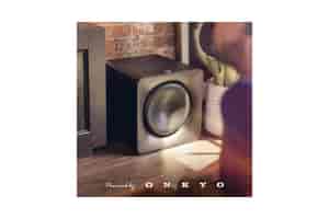 Klipsch Flexus Sub 200 12 Zoll Wireless Subwoofer