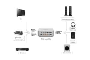 Wiim AMP Ultra Streaming Verstärker