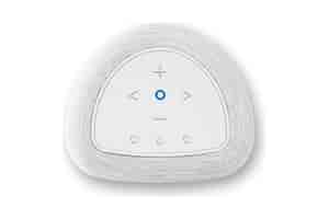 Bluesound Pulse Flex P130 Multiroom Lautsprecher