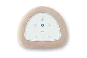 Bluesound Pulse Flex P130 Multiroom Lautsprecher