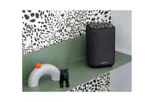 Denon Home 150