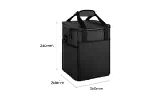 Hisense Tragetasche - Carrycase BB2H