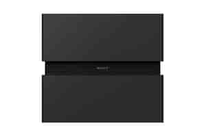 Sony BRAVIA Theatre Sub 9 SA-SW9 Wireless Subwoofer