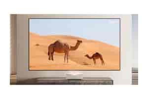 100 Zoll XGIMI ALR Leinwand