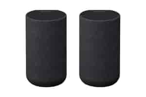 Sony SA-RS5 Rear-Lautsprecher front