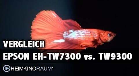 EPSON EH TW9300 vs EPSON EH TW7300 im Beamer-Test-Vergleich