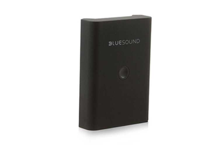 Bluesound BP 100 Pulse FLEX Akkupack (für Pulse Flex 2i)