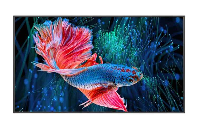 B-Ware: Rahmenleinwand Hisense CINE 120 CLR  120 Zoll