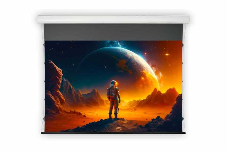 B-Ware: LS Screens ApolloMotion Dark Kontrastleinwand  244 x 137cm (110 Zoll) - 50cm Vorlauf