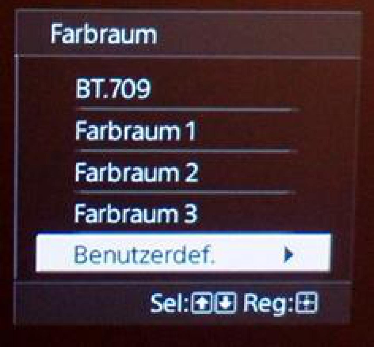 Bild22-Sony-VW500-CMS-Menu