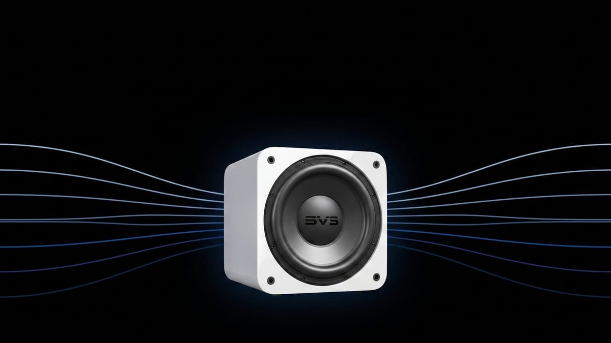 SVS SUBWOOFER