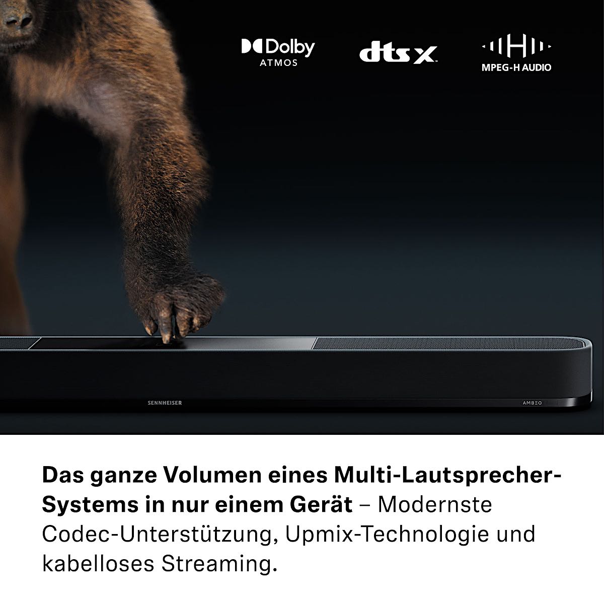 Objektbasierte Codec-Unterstützung: Dolby Atmos, DTS:X, MPEG-H und 360 Reality Audio werden allesamt unterstützt, um dir das ultimative AMBEO-Erlebnis zu bieten.