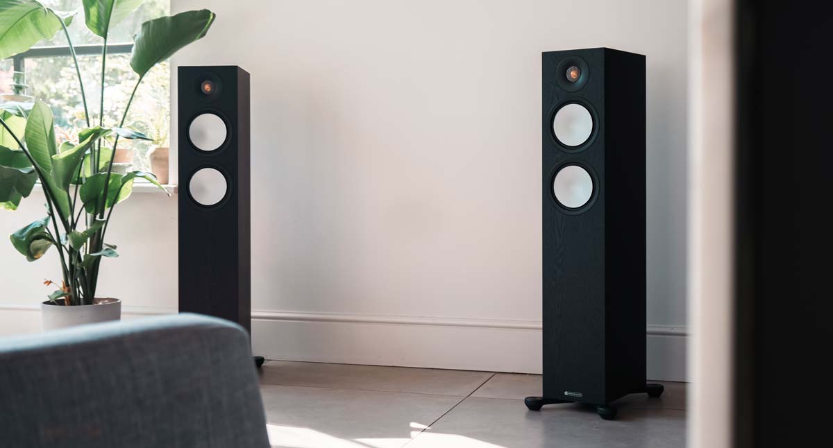 Zwei Standlautsprecher neben einer Pflanze.