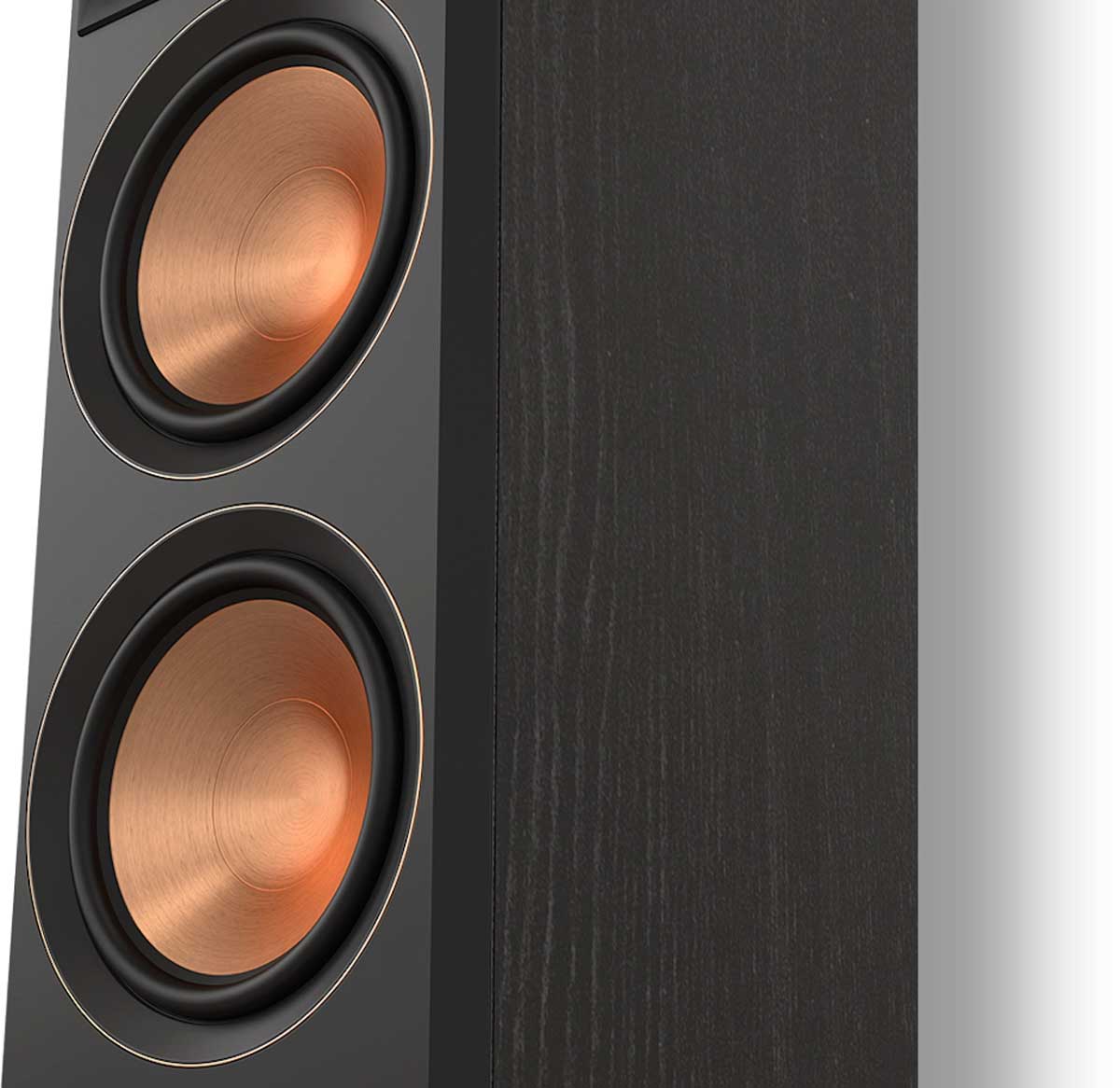Schwarzer Lautsprecher mit kupferfarbenen Membranen.