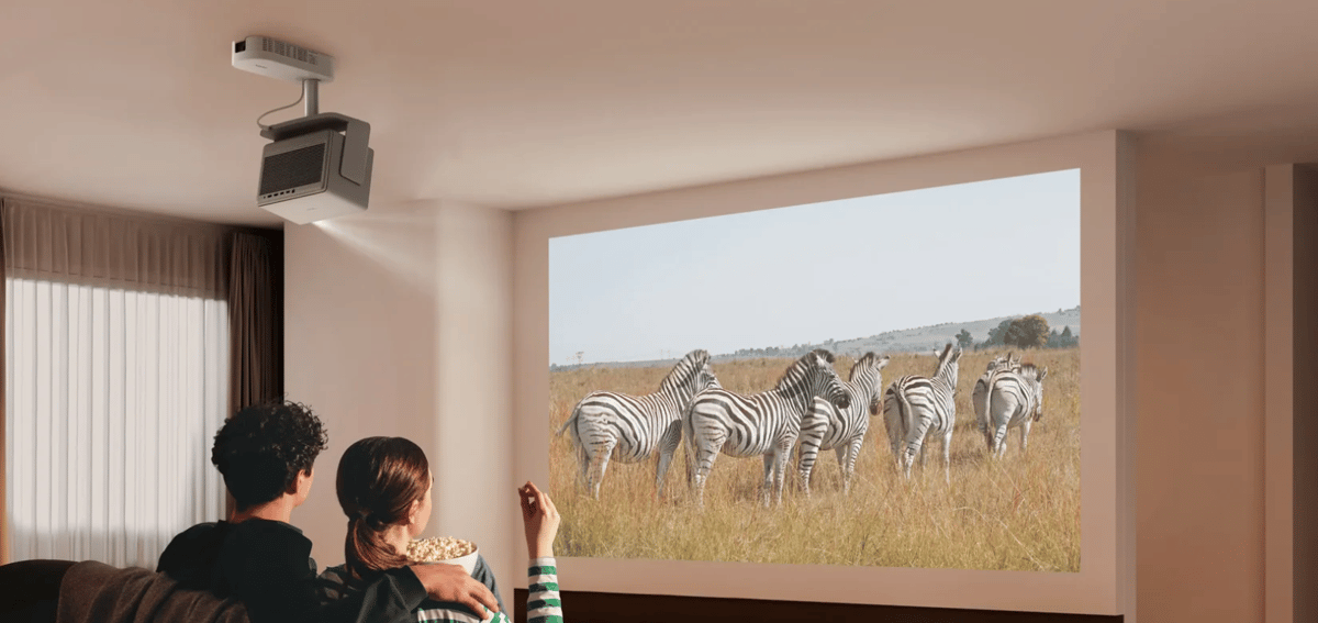 Paar schaut Zebras auf Leinwand mit Beamer.