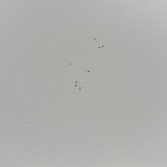 Kleine dunkle Punkte auf dem Gehäuse
