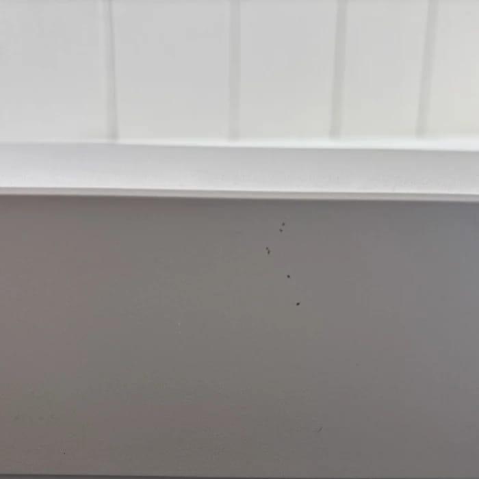 Weitere kleine Kratzer und Punkte an der Unterseite des Gehäuses