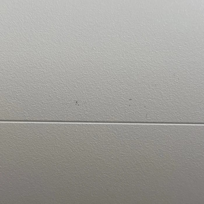 Kleine dunkle Punkte auf dem Gehäuse