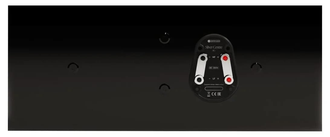 Rückseite des Silver Centre 8G mit zwei Klemmenpaaren für Hoch- und Tieftonbereich
