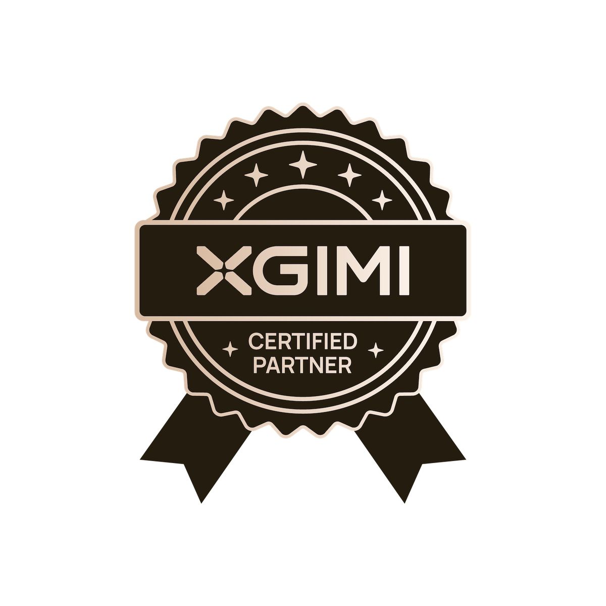 XGIMI Certified Partner Abzeichen mit Sternen.