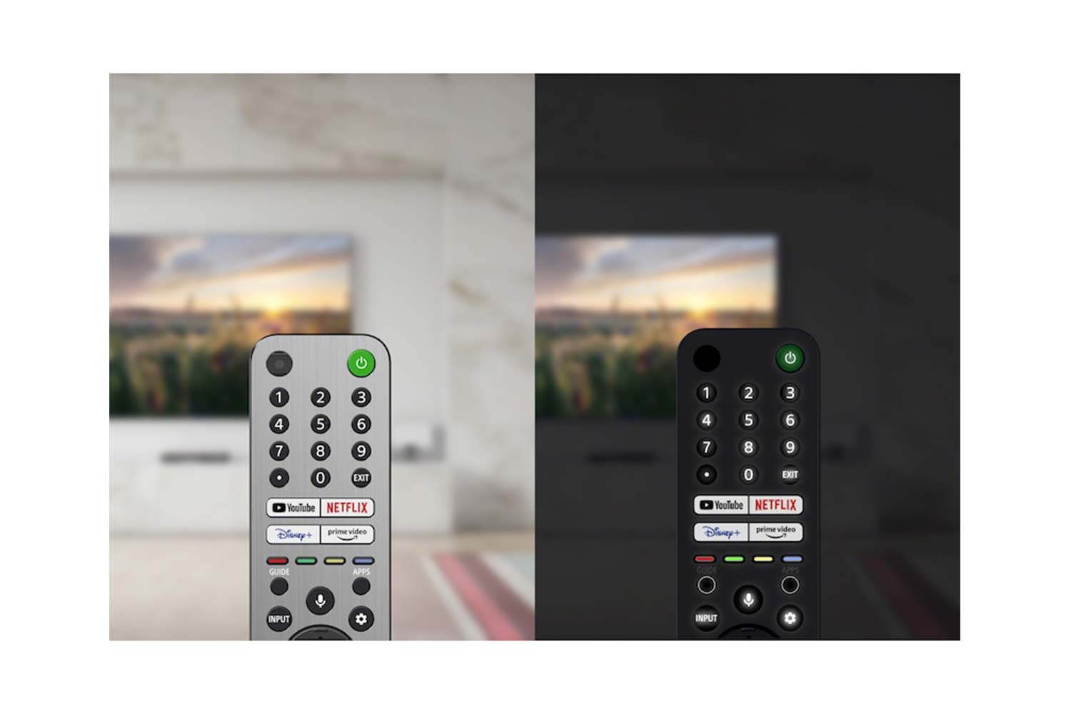 Sony Z9J Fernseher fernbedienung