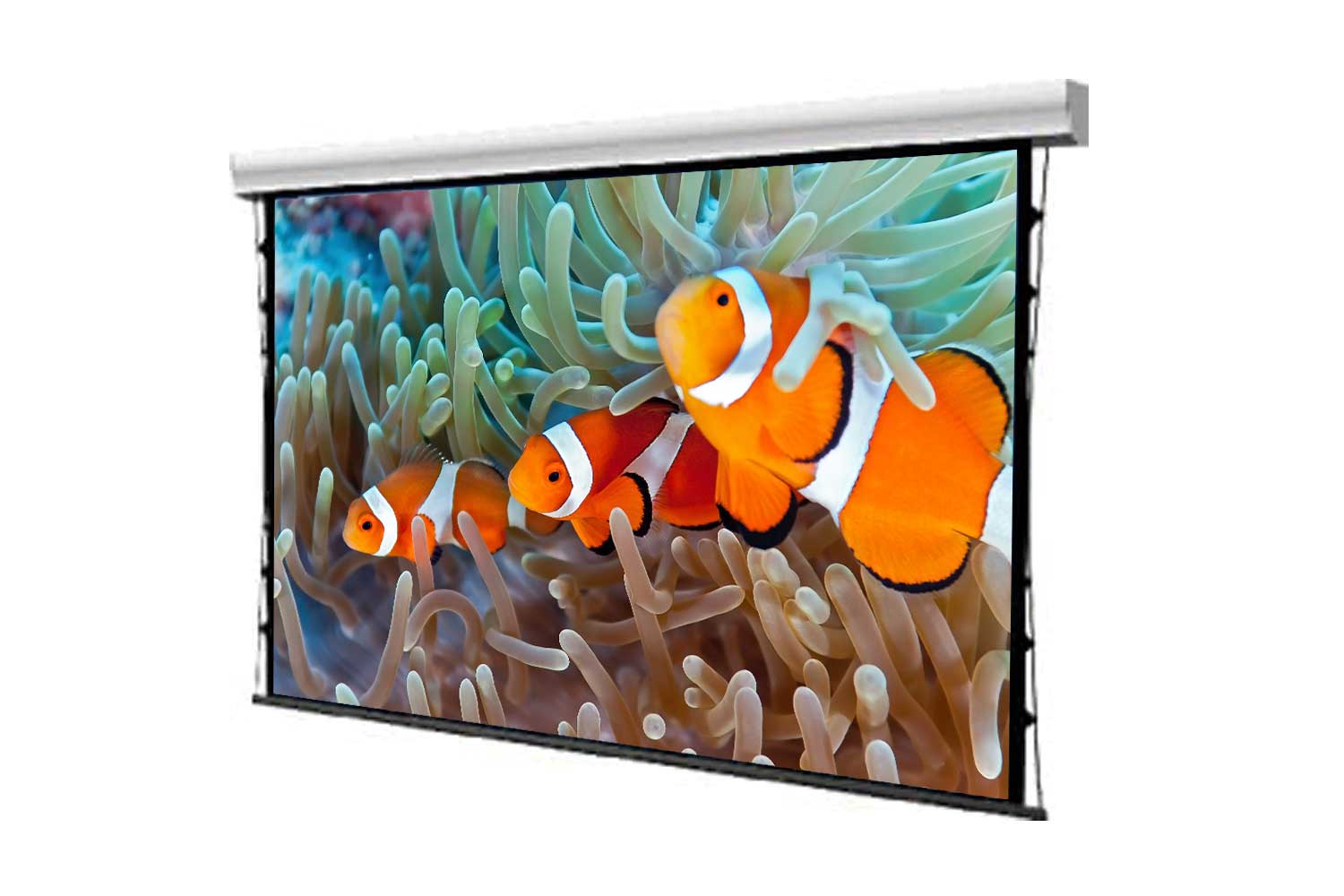 Motorleinwand VnX ATLANTIS Dream Tension PLUS