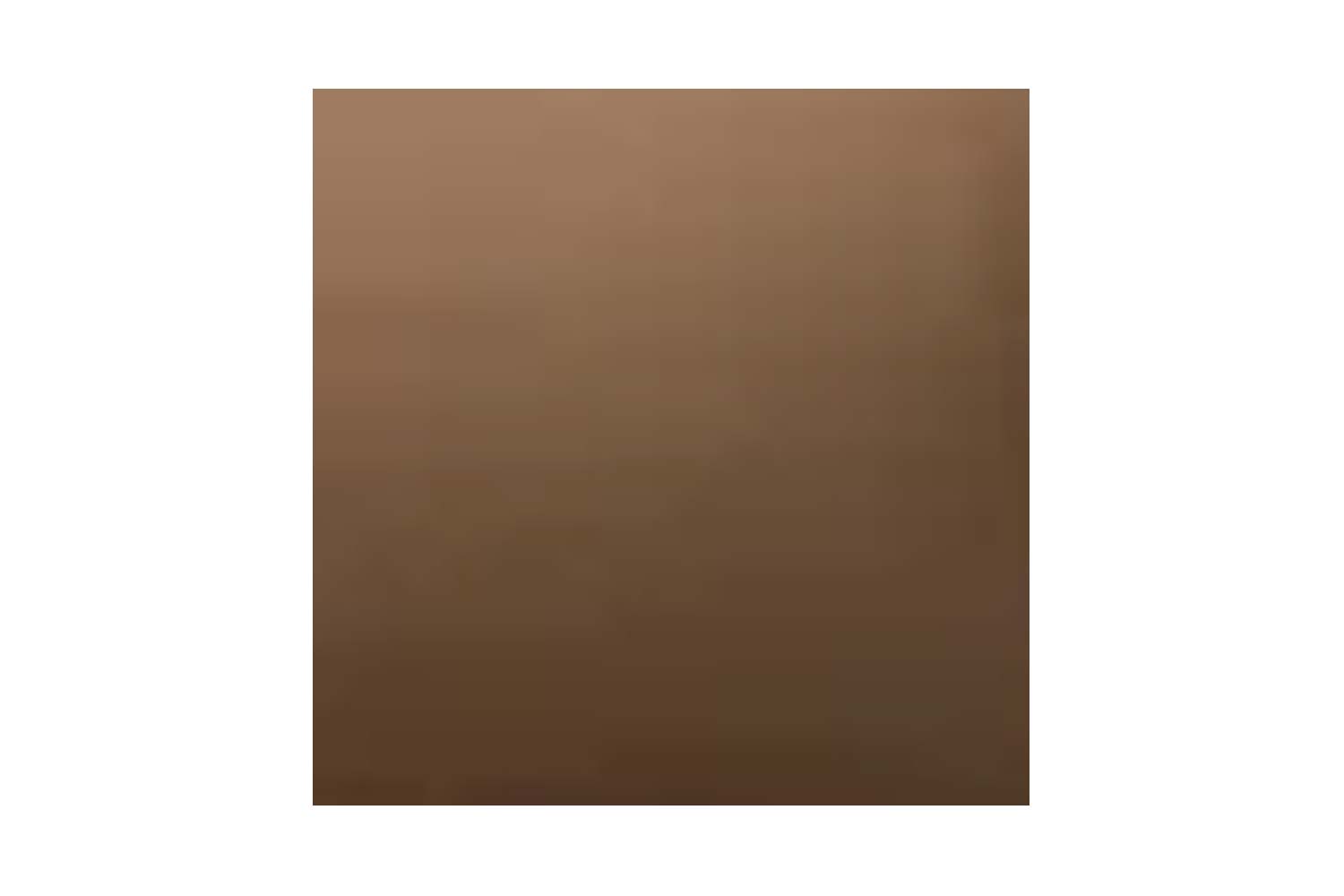 Bronze (6 Stück)