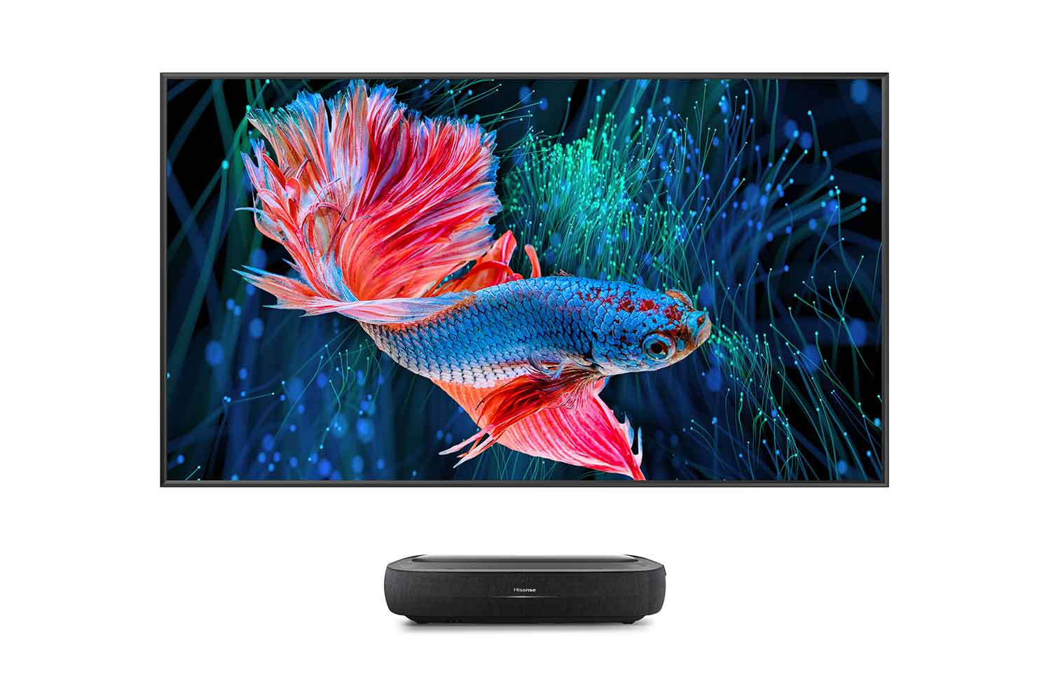 Hisense 100L9HD Set mit Leinwand