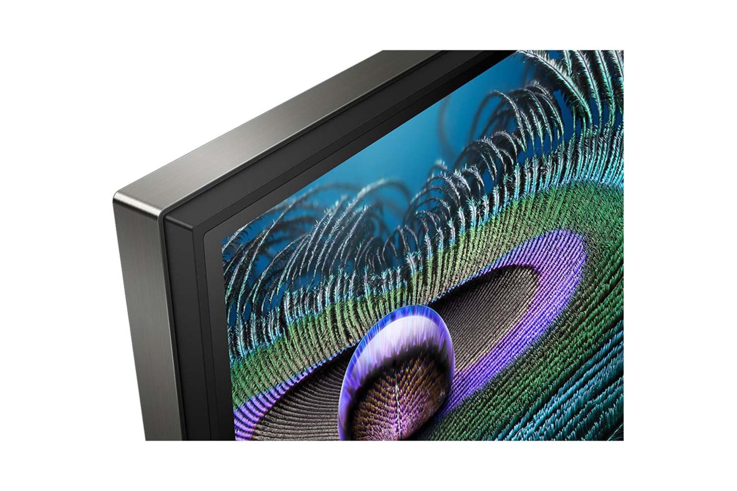 Sony Z9J Fernseher Rahmen