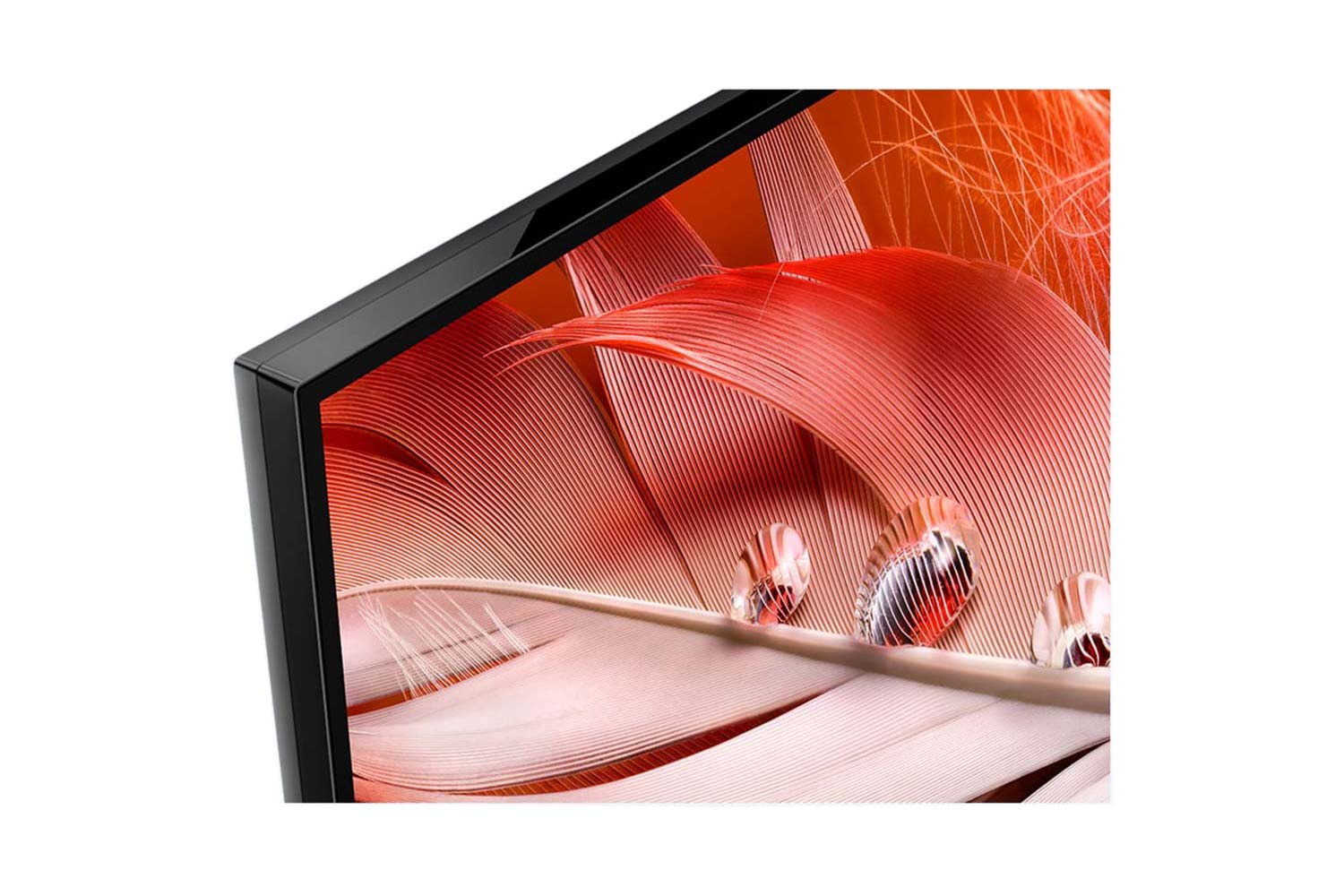 Sony X90J TV Rahmen